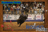 Cowboys of Florida Rodeo Time