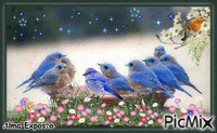 Pássaros Azuis Animiertes GIF