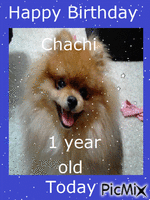 Chachi's bday - 無料のアニメーション GIF