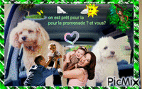 pady et meslie deux amis chiens - GIF animé gratuit