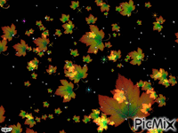 uçuşan yapraklar - Besplatni animirani GIF