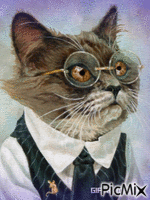 el gato - 無料のアニメーション GIF