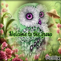 Welcome owl
