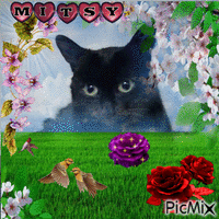 Mitsy - GIF animado grátis