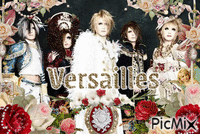 Versailles animált GIF
