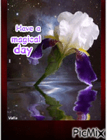 have a magical day - GIF animé gratuit