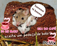 Ratinhos - Darmowy animowany GIF