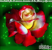 amantes de las flores ya lgo mas - GIF animado gratis