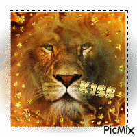 Le roi lion - GIF animé gratuit