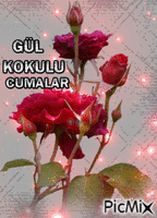 Ülkü Gülü - Бесплатный анимированный гифка