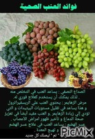 grapes geanimeerde GIF