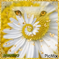 fleurs jaunes.. - GIF animate gratis