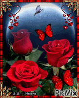 Roses in moonlight. animovaný GIF