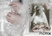 Wedding of Olga анимированный гифка