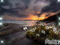panorama - Ingyenes animált GIF