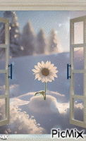 Por la ventana Animated GIF