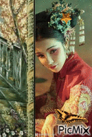 Oriental animuotas GIF