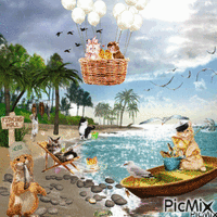 Cats by the sea animuotas GIF