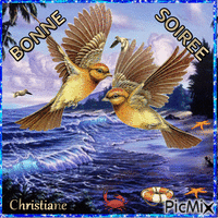 BONNE SOIREE 15 11 - Бесплатный анимированный гифка