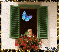mi ventana colorida - 免费动画 GIF