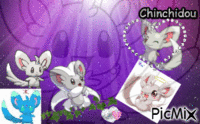 Chinchidou et Pashmilla Animated GIF