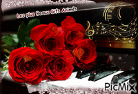des roses pour vous - GIF animé gratuit