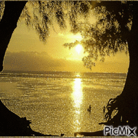 sunset - Gratis animeret GIF
