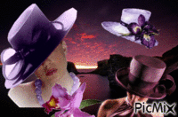 collection de chapeaux - Free animated GIF