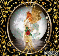 engel duif vrede - Δωρεάν κινούμενο GIF
