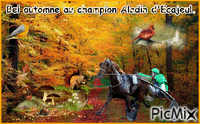 Le champion Aladin d'Ecajeul. - GIF animado grátis