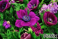 Flores animovaný GIF
