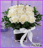 Fehér rózsa - Безплатен анимиран GIF