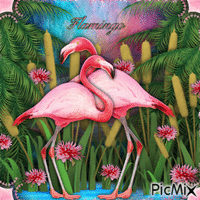 Flamingo-05-18-23 - GIF เคลื่อนไหวฟรี