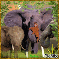 Lilou l'amie  des éléphants - Free animated GIF