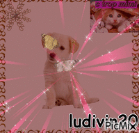 ludivin20 - GIF animé gratuit