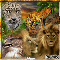 The wild animals geanimeerde GIF