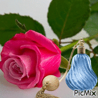 růže a parfém - GIF animé gratuit