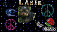 chere Lasie - GIF animasi gratis