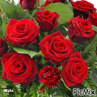 rose rouge - Ilmainen animoitu GIF