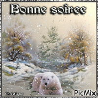 BONNE SOIREE  22 01 GIF animé