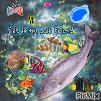 fish collage animovaný GIF