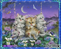 Three small kittens. GIF animata
