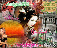 Montage perso 动画 GIF