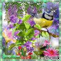 magnifiques fleurs et superbe oiseau - Бесплатный анимированный гифка