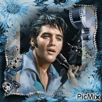 Elvis Presley, Chanteur & Acteur américain - Gratis geanimeerde GIF