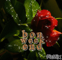 Week end アニメーションGIF