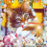 Christmas Cat анимирани ГИФ