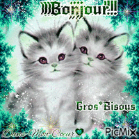 Bonjour!*Gros*Bisous Animated GIF