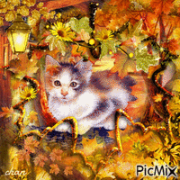 Micetto autunnale - laurachan Animated GIF