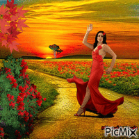 Flamenco & coquelicots :) GIF animé